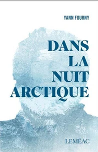 Dans la nuit arctique