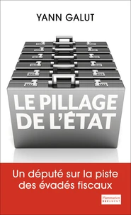 Le pillage de l'Etat