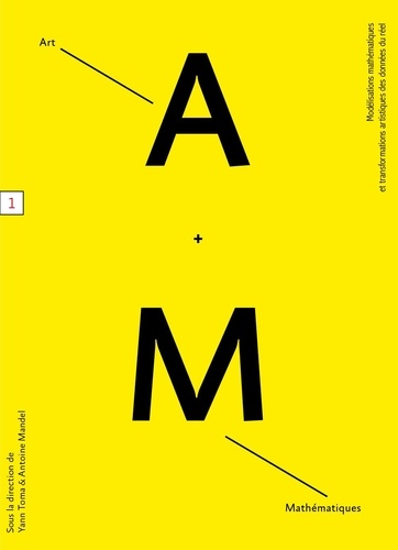 Yann Toma et Antoine Mandel - Art et mathématiques - Modélisations mathématiques et transformations artistiques des données du réel.