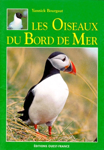 Yannick Bourgault - Les oiseaux du bord de mer.