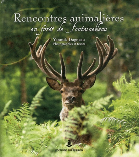 Yannick Dagneau - Rencontres animalières en forêt de Fontainebleau.