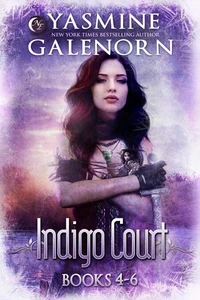 Indigo Court Books 4-6