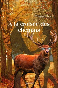 A la croisée des chemins