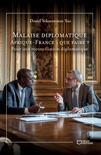 Malaise diplomatique Afrique-France : que faire ?