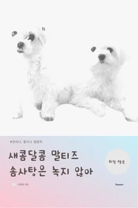 새콤달콤 말티즈 솜사탕은 녹지않아
