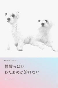 甘酸っぱい わたあめが溶けない