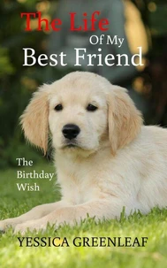 The Birthday Wish