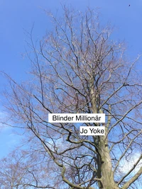 Blinder Millionär