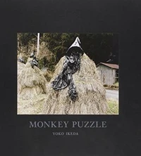 Yoko Ikeda : monkey puzzle