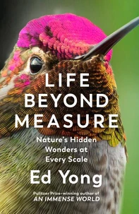Life Beyond Measure