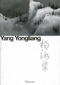 Yongliang Yang - Yang Yongliang - Paysages.