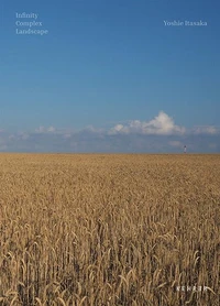 Infinity Complex Landscape