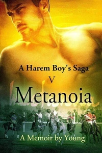 Metanoia (A Harem Boy's Saga Book 5)