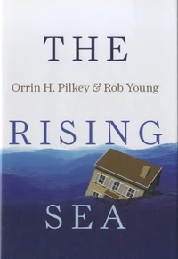 The Rising Sea