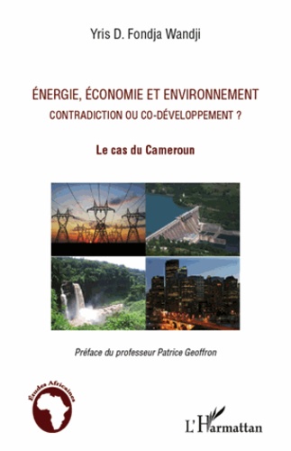 Energie, économie et environnement. Contradiction ou co-développement ? Le cas du Cameroun