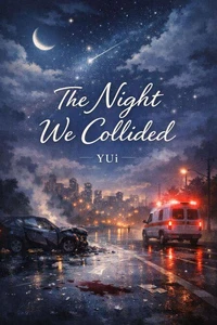 The Night We Collided