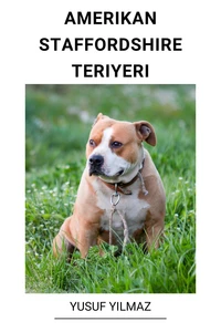 Amerikan Staffordshire Teriyeri