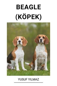 Beagle (Köpek)