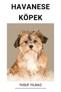 Havanese Köpek