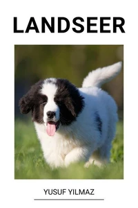 Landseer