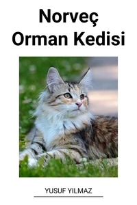 Norveç Orman Kedisi