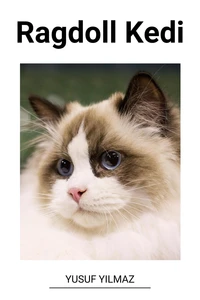 Ragdoll Kedi