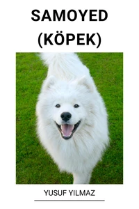 Samoyed (Köpek)