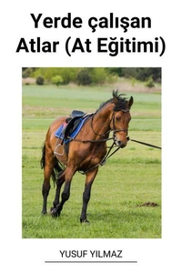 Yerde çalışan Atlar (At Eğitimi)