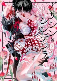 Assassin &amp; Cinderella 03