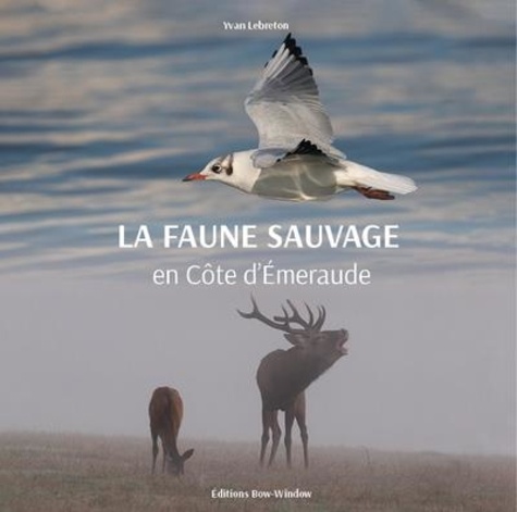 La faune sauvage de la côte d’Emeraude