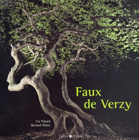 Yve Flatard et Bernard Weber - Faux De Verzy.