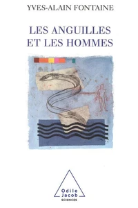 Les Anguilles Et Les Hommes. Les Incertitudes De L'Adaptation
