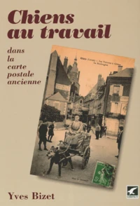 Chiens Au Travail Dans La Carte Postale Ancienne