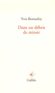 Dans un débris de miroir