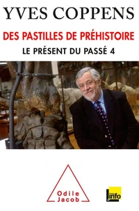 Le présent du passé