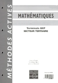 Mathematiques Terminale Bep Secteur Tertiaire. Avec Chemise De Rangement
