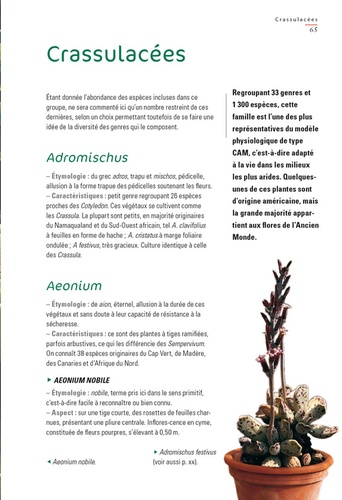 Plantes succulentes. Comment les choisir et les cultiver facilement  édition revue et augmentée
