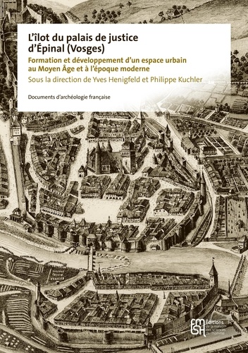 L'îlot du palais de justice d'Epinal (Vosges). Formation et développement d'un espace urbain au Moyen Age et à l'époque moderne
