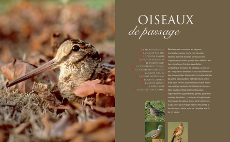 Le grand livre Hachette de la Chasse