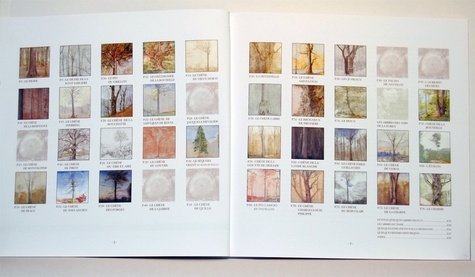 Un tour de Tronçais en 40 arbres remarquables  édition revue et augmentée