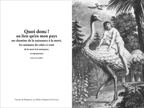 La littérature française en 100 romans. Du Moyen Age à nos jours