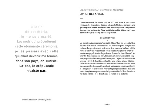 La littérature française en 100 romans. Du Moyen Age à nos jours