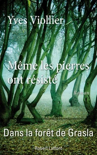 Mêmes les pierres ont résisté