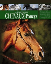 Yvette Clement - Chevaux et poneys.