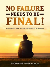 No Failure Needs to be Final!
