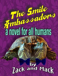 The Smile Ambassadors