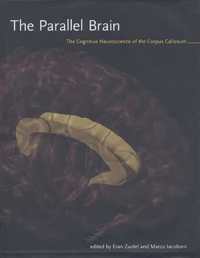 The Parallel Brain