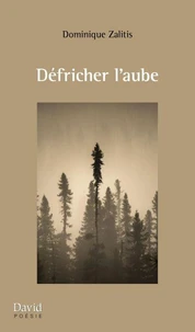Defricher l'aube