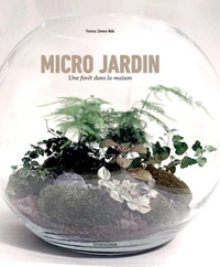 Micro jardins, une forêt dans la maison