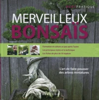 Merveilleux bonsaïs